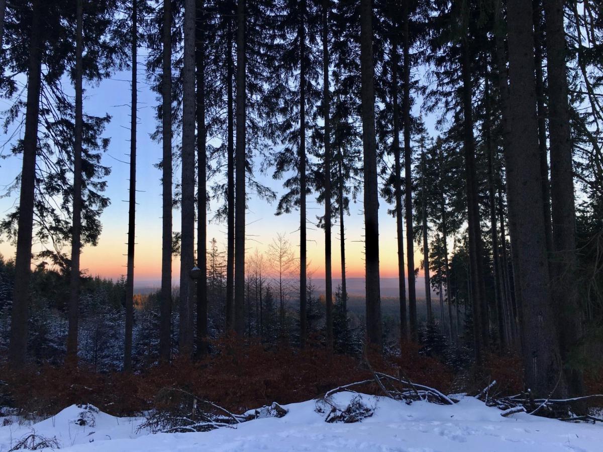 Fewo Harzromantik Braunlage Dış mekan fotoğraf