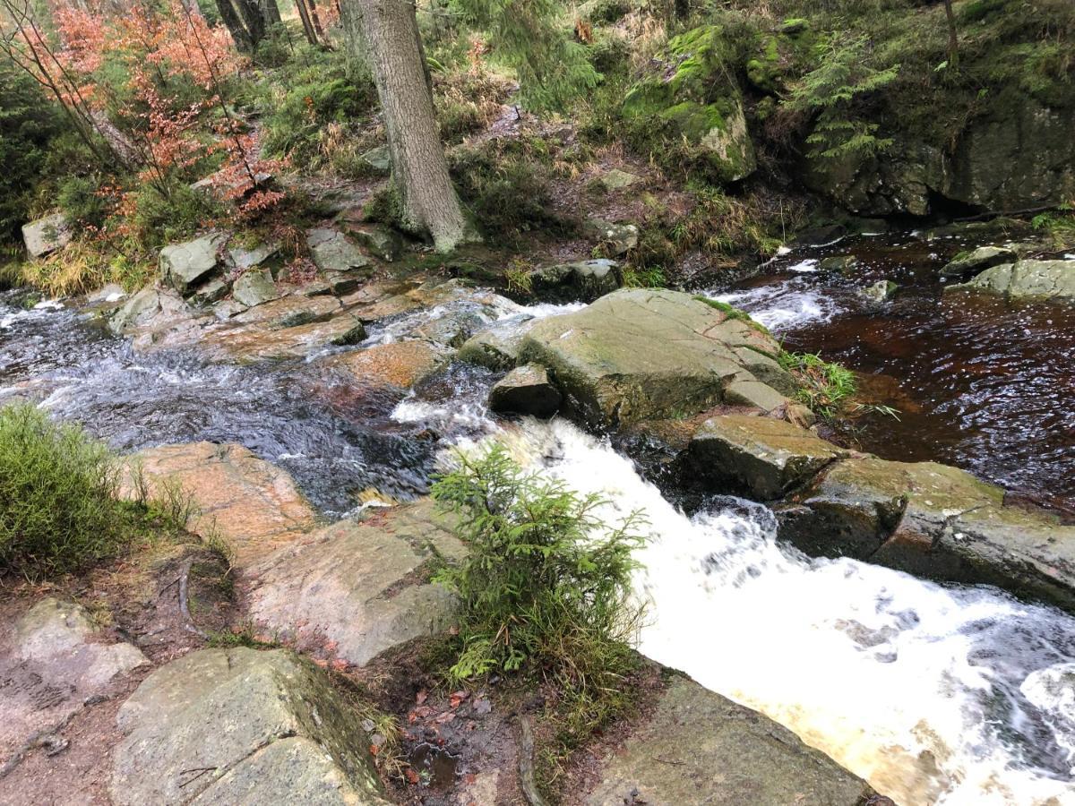 Fewo Harzromantik Braunlage Dış mekan fotoğraf