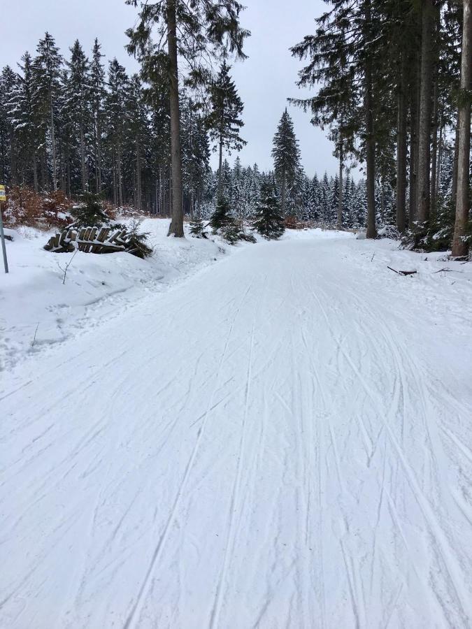 Fewo Harzromantik Braunlage Dış mekan fotoğraf
